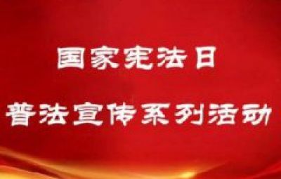 国家宪法日普法宣传